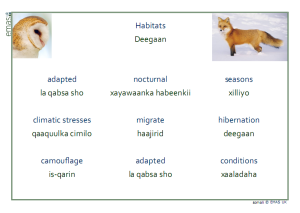 Habitats Pre Learning Words - Somali/English